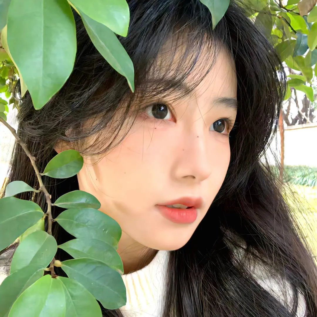 选举追缉令
