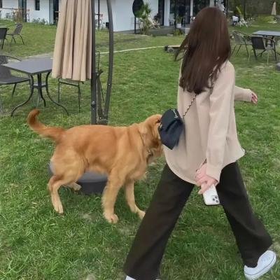开膛街第一季